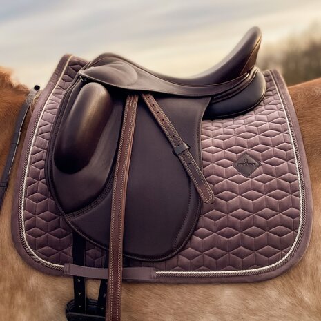 Saga Dressage - H Boom LEENZADEL