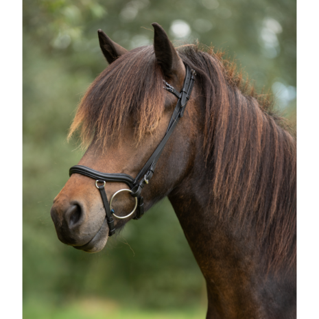 Tolt Saga Mix 'n Match Anatomische Neusriem