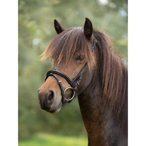 Tolt Saga Mix 'n Match Hoge Neusriem