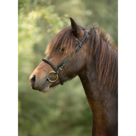 Tolt Saga Mix 'n Match Hoge Neusriem