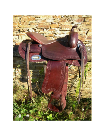 Freemax Western Buffel Round