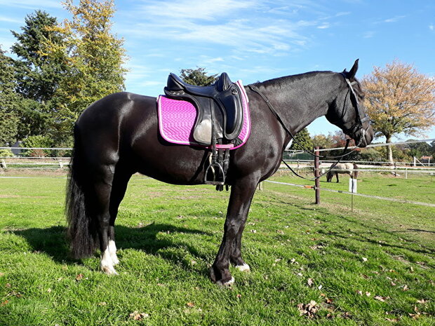 Kifra-pad Boomloos Square Brown COTTON